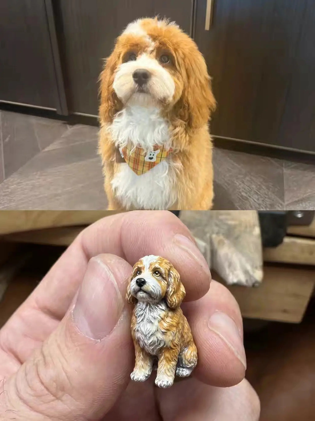 Pet Jewelry
