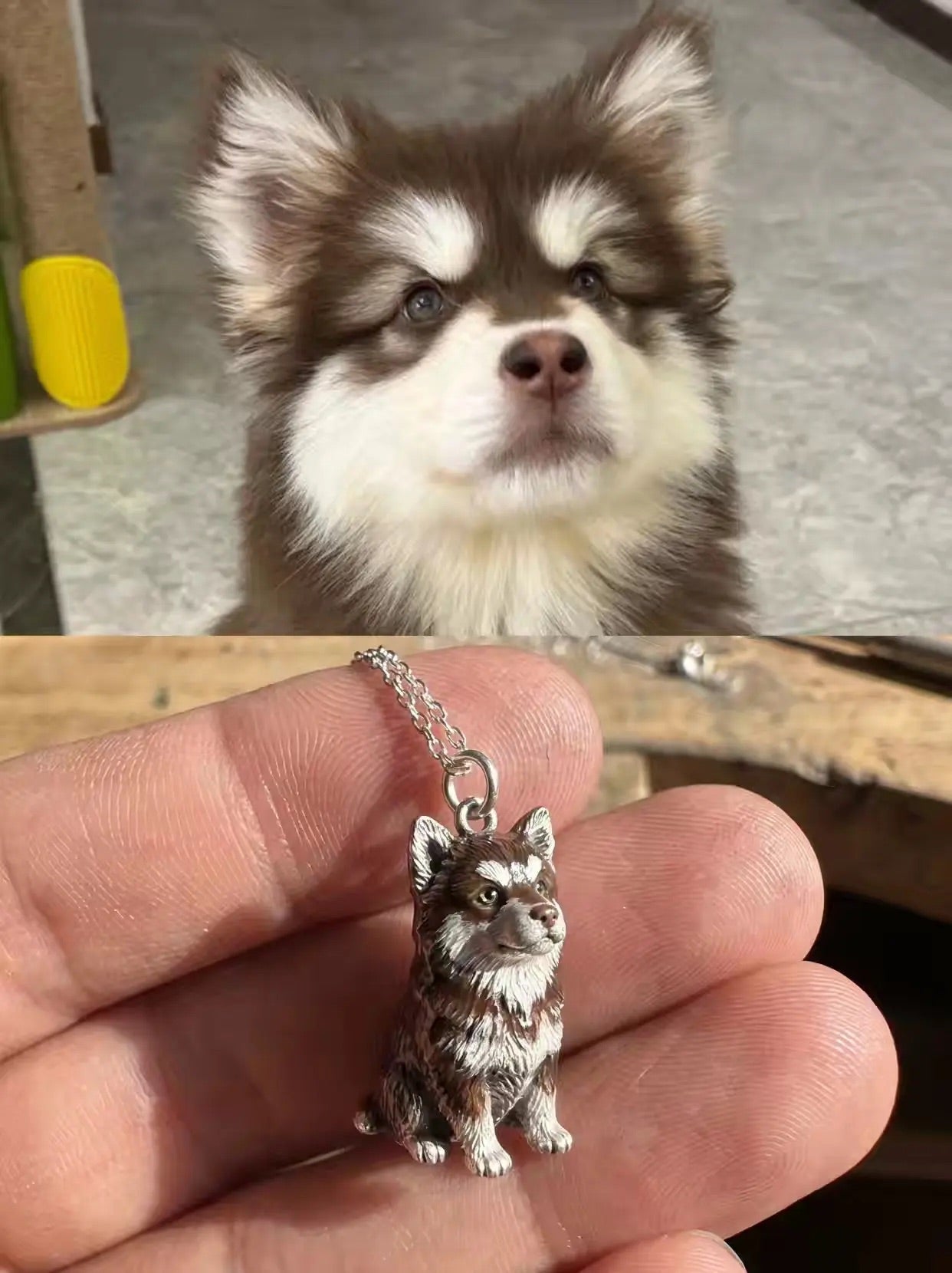 Pet Jewelry