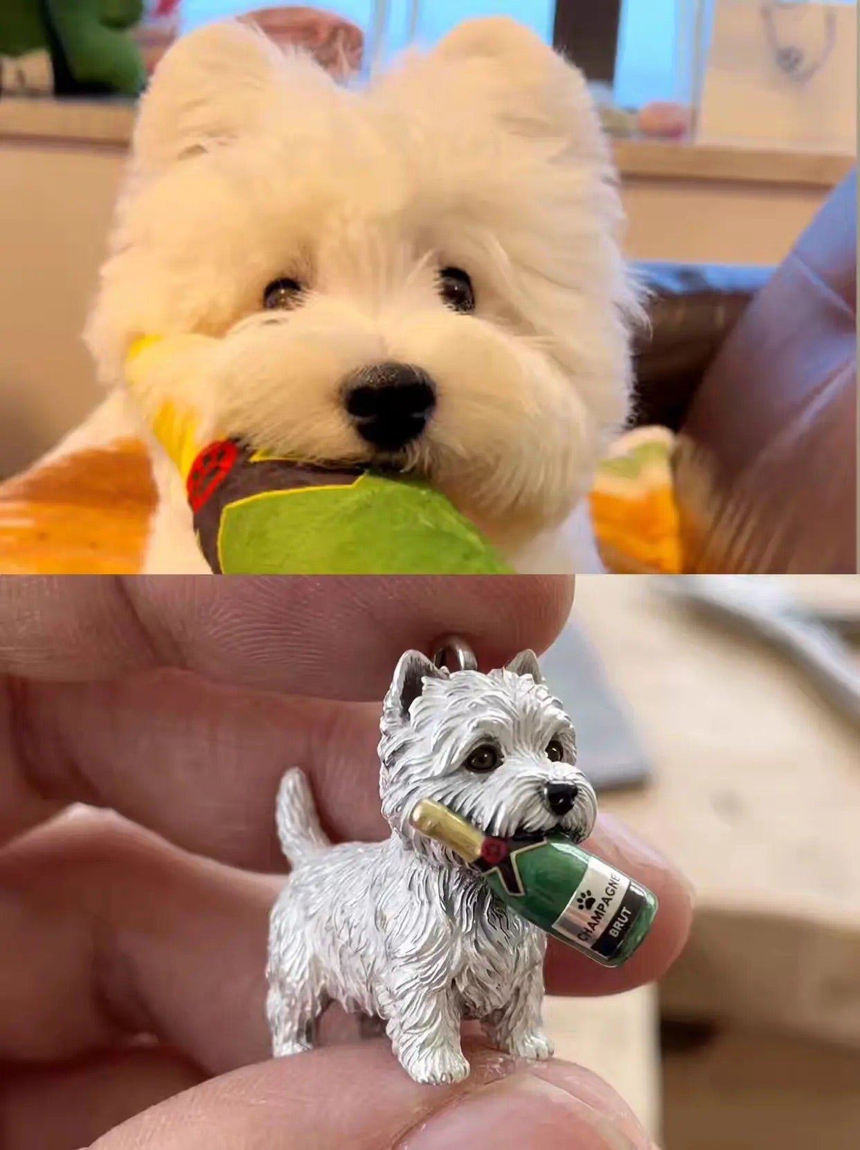 Pet Jewelry