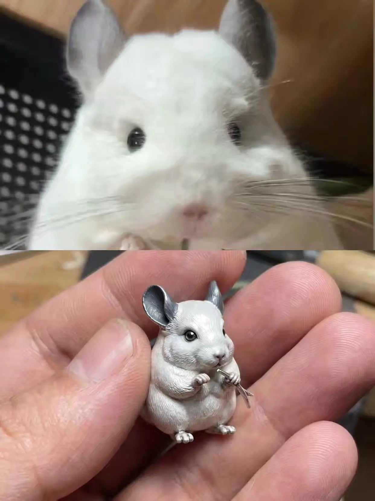 Pet Jewelry