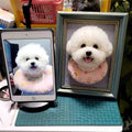 3D Felted Pet Memorial Art - Handmade Custom Frame Portrait for Cat/Dog Lovers