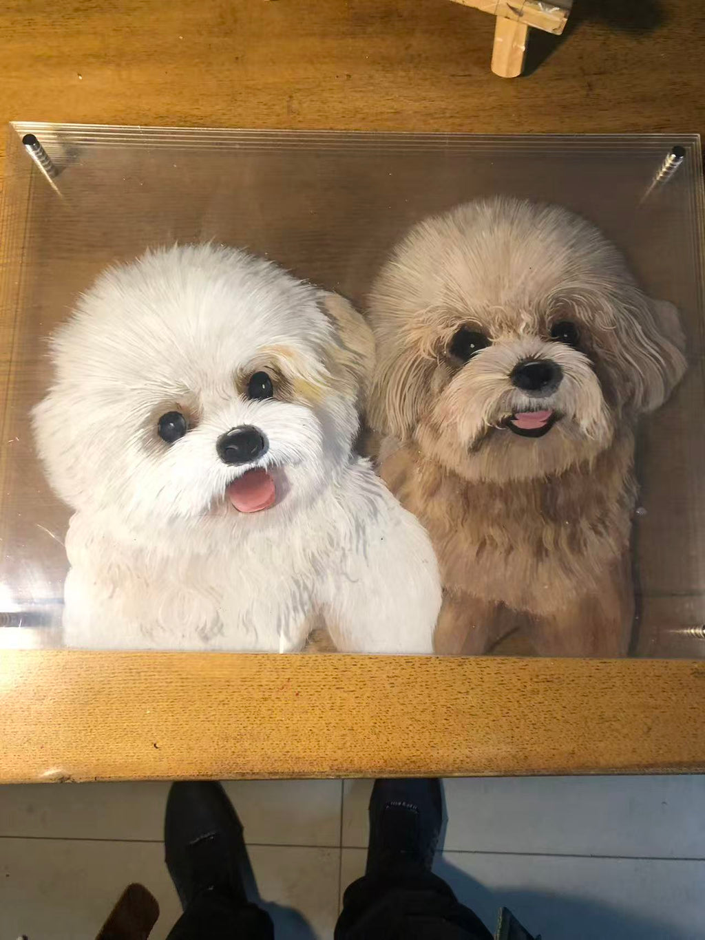 Handmade Custom Multi-Layer 3D Acrylic Pet Portrait | For Your Cherished Pet