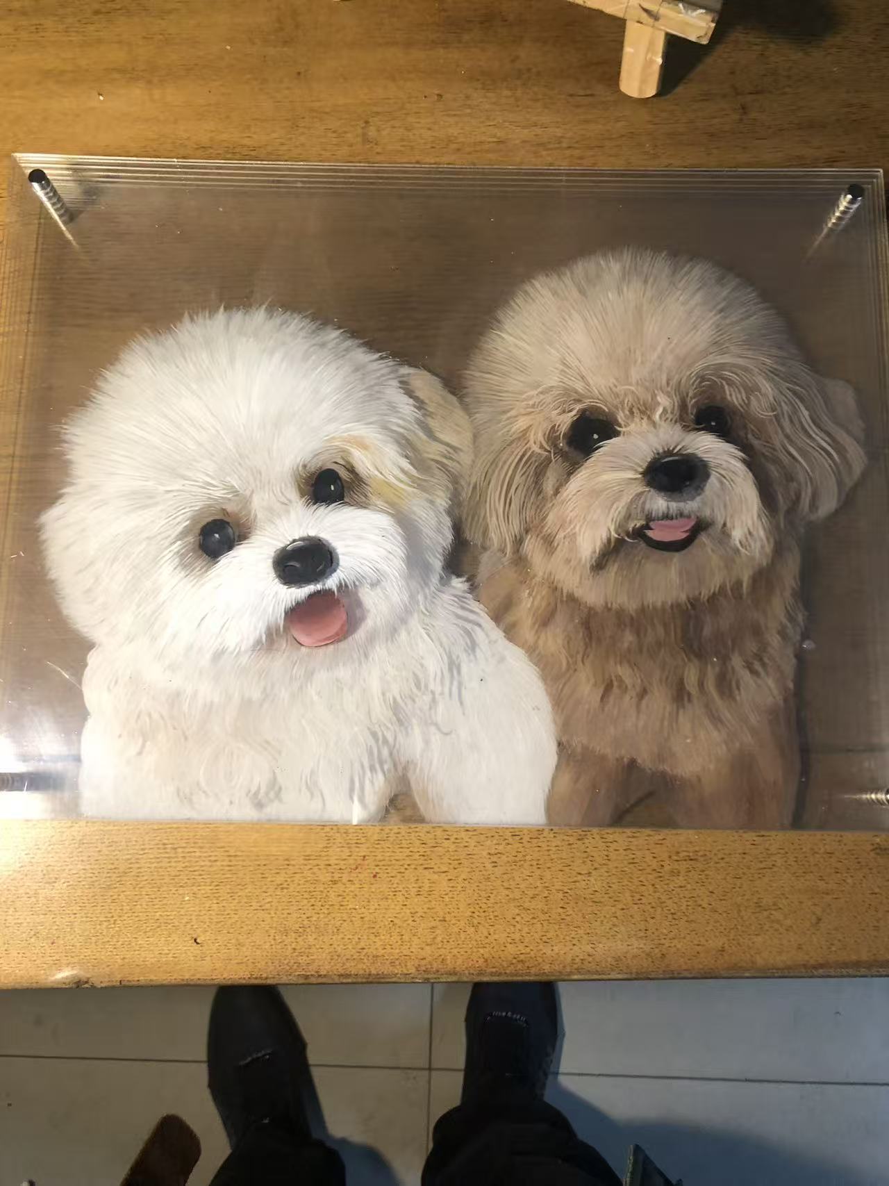 Handmade Custom Multi-Layer 3D Acrylic Pet Portrait | Personalized Gift for Pet Lovers | Send Photo to Customize